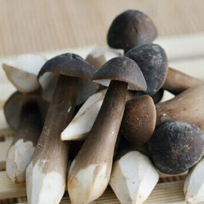 休闲小零食,休闲零食加盟,休闲零食厂家 休闲小零食,休闲零食加盟,休闲零食厂家